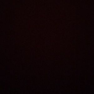 Meet your Posher, Riley